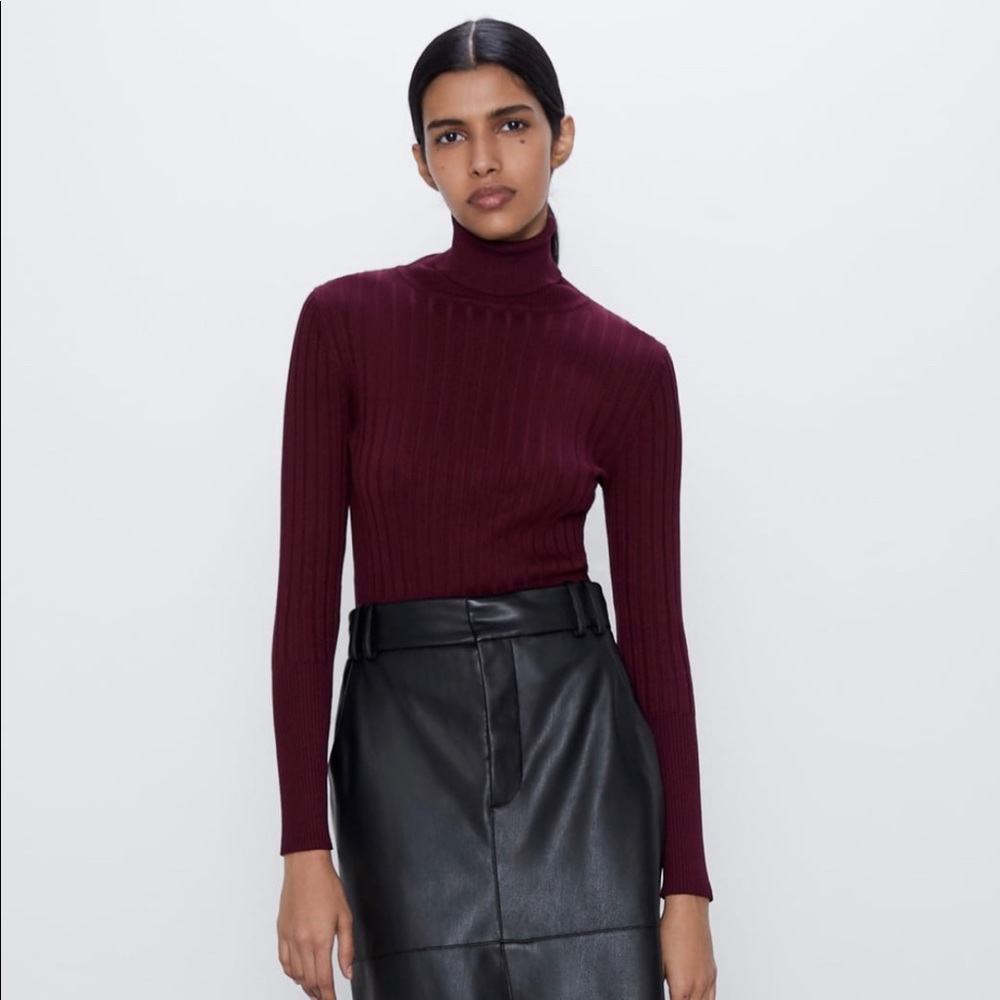 Zara Ribbed Turtleneck Sweater